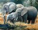 Картина з мозаїки Сім'я слонів ТМ Алмазная мозаика (DM-189) — фото комплектації набору