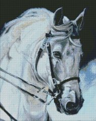 Набор алмазная мозаика Гордый конь Идейка (AMO7394, На подрамнике) фото интернет-магазина Raskraski.com.ua