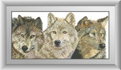 Картина з мозаїки Три вовка (квадратні камені, повна зашивання) Dream Art (DA-30462) фото інтернет-магазину Raskraski.com.ua