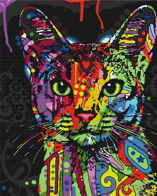 Картина по номерам Абиссинская кошка (BS9868) BrushMe (Без коробки)