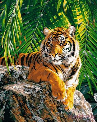 Раскраска по номерам Суматранская тигрица (VP461) Babylon фото интернет-магазина Raskraski.com.ua