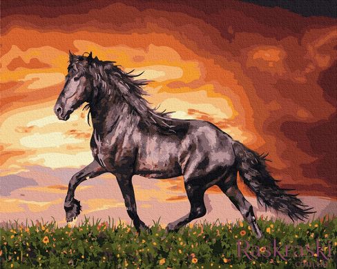 Картина по номерам Черный конь (BK-GX34880) (Без коробки)
