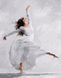 Картина по цифрам Танцующая балерина (BRM23653) — фото комплектации набора
