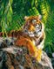Розмальовка по номерах Суматранська тигриця (VP461) Babylon — фото комплектації набору