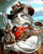 Раскраска по цифрам Капитан-кот (VP1391) Babylon — фото комплектации набора