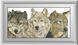 Картина из мозаики Три волка (квадратные камни, полная зашивка) Dream Art (DA-30462, Без подрамника) — фото комплектации набора