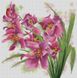 Картина алмазами Цвітіння лілій (56 х 56 см) Dream Art (DA-31553) — фото комплектації набору