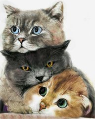 Набор алмазной мозаики Три милых котика My Art (MRT-TN1182, На подрамнике) фото интернет-магазина Raskraski.com.ua