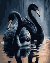 Картина по номерам Черные лебеди (PNX0745) Artissimo (Без коробки)