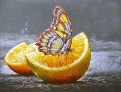 Алмазна мозаїка Метелик на апельсині ТМ Алмазная мозаика (DMF-180) фото інтернет-магазину Raskraski.com.ua