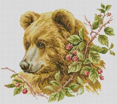 Картина стразами Коричневый медведь (36 х 40 см) Dream Art (DA-31532, Без подрамника) фото интернет-магазина Raskraski.com.ua
