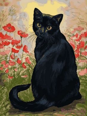 Картина по номерам Черная кошка в маках (VK274) Babylon фото интернет-магазина Raskraski.com.ua
