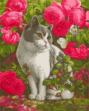 Картина Розмальовка Кіт в трояндах (AS1026) ArtStory фото інтернет-магазину Raskraski.com.ua