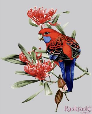 Картина за номерами Папуга у квітах (SR-SY6035) Strateg (Без коробки)