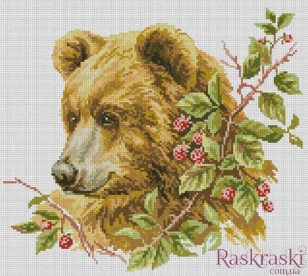 Картина стразами Коричневий ведмідь (36 х 40 см) Dream Art (DA-31532) фото інтернет-магазину Raskraski.com.ua