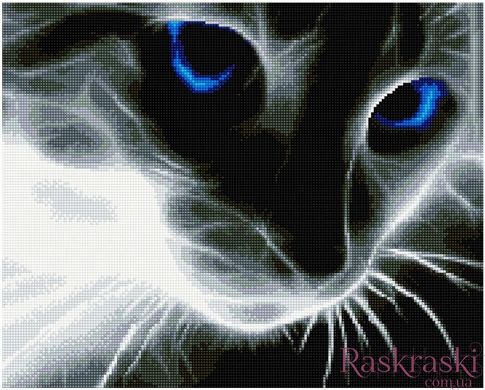 Алмазна мозаїка Блакитноокий кіт Никитошка (GJ533) фото інтернет-магазину Raskraski.com.ua