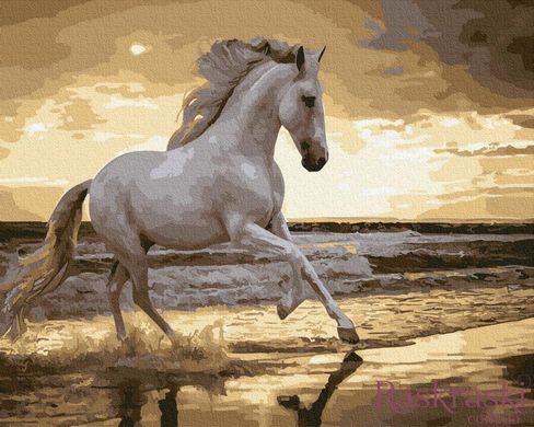 Холст для рисования Ретивый конь (BK-GX30903) (Без коробки)