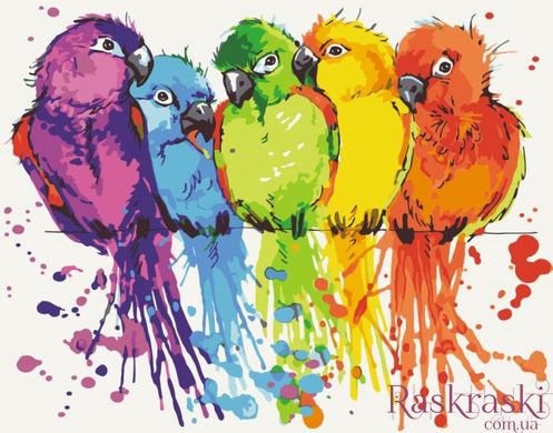 Раскраска по номерам Радужные попугаи (ACR-B-10617-AC) ArtCraft фото интернет-магазина Raskraski.com.ua