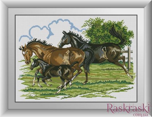 Картина алмазна вишивка Сім'я (коні) Dream Art (DA-30959) фото інтернет-магазину Raskraski.com.ua