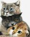 Набор алмазной мозаики Три милых котика My Art (MRT-TN1182, На подрамнике) — фото комплектации набора