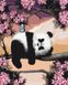Картини за номерами Сонна панда (BSM-B25499) — фото комплектації набору