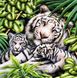 Набір алмазна вишивка Біла тигриця з тигрятами ТМ Алмазная мозаика (DM-283) — фото комплектації набору