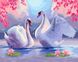 Раскраска по номерам Лебеди под сакурой (BRM26882) — фото комплектации набора