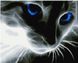 Алмазная мозаика Голубоглазый кот Никитошка (GJ533, На подрамнике) — фото комплектации набора