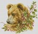 Картина стразами Коричневий ведмідь (36 х 40 см) Dream Art (DA-31532) — фото комплектації набору