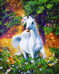 Картина Розмальовка Білий кінь (BRM45810) фото інтернет-магазину Raskraski.com.ua