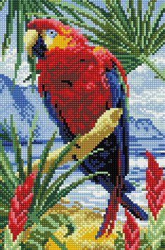 Мозаика алмазная Попугай ColorArt (CLR-PDT706, На подрамнике) 20 х 30 см фото интернет-магазина Raskraski.com.ua