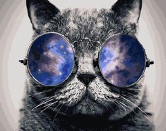 Картина по номерам Космический кот (BK-GX21679) (Без коробки)