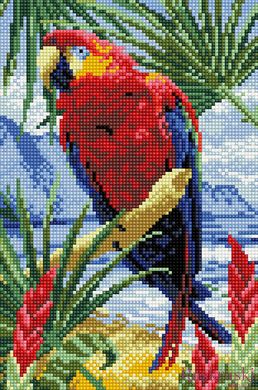 Набір алмазна мозаїка Папуга ColorArt (CLR-PDT706) фото інтернет-магазину Raskraski.com.ua