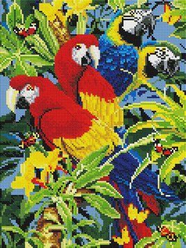 Алмазная вышивка Попугаи ColorArt (CLR-PST434, На подрамнике) 30 х 40 см фото интернет-магазина Raskraski.com.ua