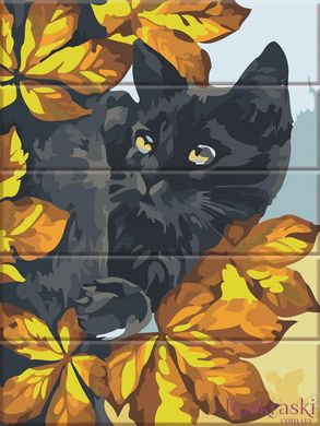 Картина по номерам Черный кот (ASW175) ArtStory фото интернет-магазина Raskraski.com.ua