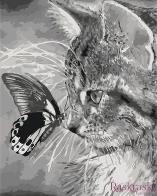 Картина за номерами Кошеня і метелик (KHO2499) Идейка (Без коробки)