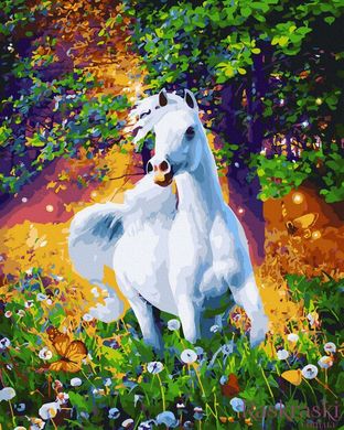 Розмальовка для дорослих Білий кінь (BK-GX45810) (Без коробки)