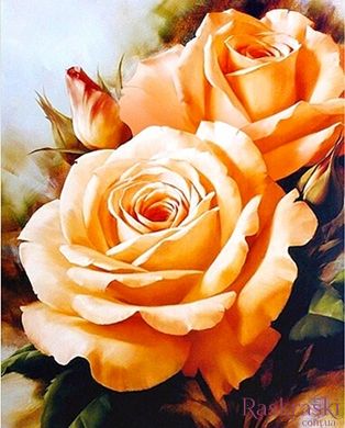 Алмазна вишивка Солодкий аромат троянд My Art (MRT-TN476) фото інтернет-магазину Raskraski.com.ua