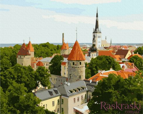 Картина по номерам Крыши старого Таллина (BRM8100) фото интернет-магазина Raskraski.com.ua