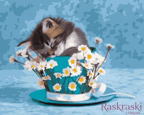 Картина по номерам Спящий котенок (BRM41939) фото интернет-магазина Raskraski.com.ua