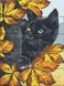 Розмальовка для дорослих Чорний кіт (ASW175) ArtStory — фото комплектації набору