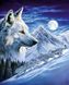 Картина алмазна вишивка Вовки в повний місяць ТМ Алмазная мозаика (DM-278) — фото комплектації набору