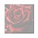 Малювання по номерам Троянда. ДВП (кольорова схема) (AS2028) ArtStory (Без коробки)