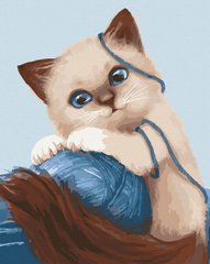 Холст для рисования Игривый котенок (ACR-11673-AC) ArtCraft (Без коробки)