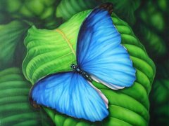 Набір алмазна вишивка Синя метелик ТМ Алмазная мозаика (DMF-181) фото інтернет-магазину Raskraski.com.ua