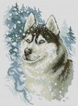 Мозаїка алмазна Хаскі (29 х 39 см) Dream Art (DA-31805) 29 х 39 см фото інтернет-магазину Raskraski.com.ua