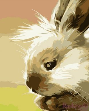Картина раскраска Маленький зайчонок (SR-DY157) Strateg (Без коробки)