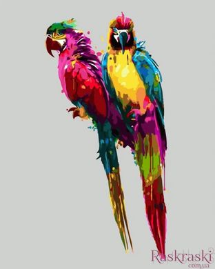 Картина по номерам Цветные попугаи (SR-SY6033) Strateg (Без коробки)