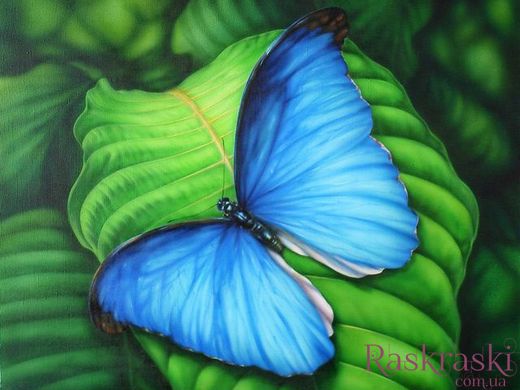 Набір алмазна вишивка Синя метелик ТМ Алмазная мозаика (DMF-181) фото інтернет-магазину Raskraski.com.ua