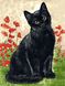 Картина по номерам Зеленоглазая кошка в цветах (VK275) Babylon — фото комплектации набора